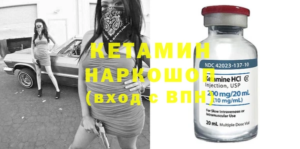 индика Новодвинск