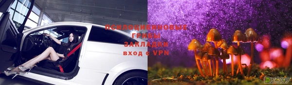 прущая мука Новозыбков