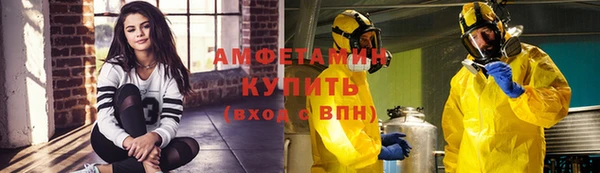 индика Новодвинск