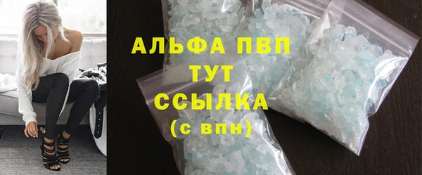 индика Новодвинск