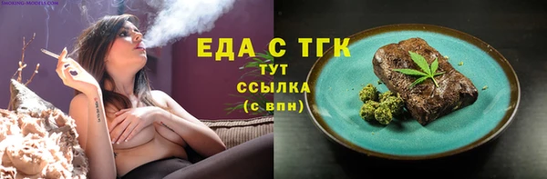 индика Новодвинск