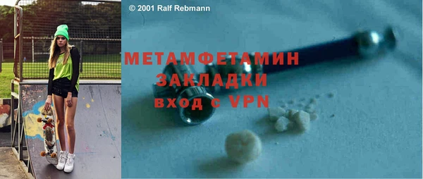 индика Новодвинск