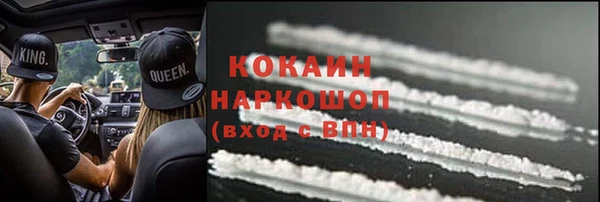 индика Новодвинск