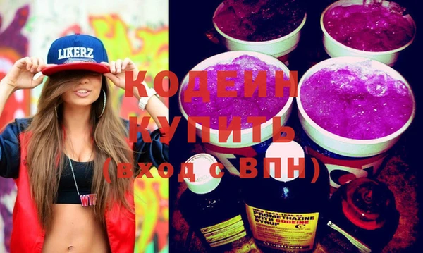 индика Новодвинск