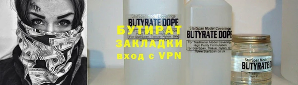 индика Новодвинск