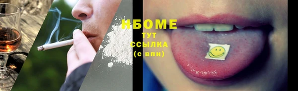 индика Новодвинск