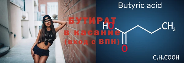 индика Новодвинск