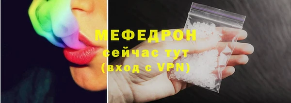 индика Новодвинск