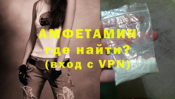 индика Новодвинск