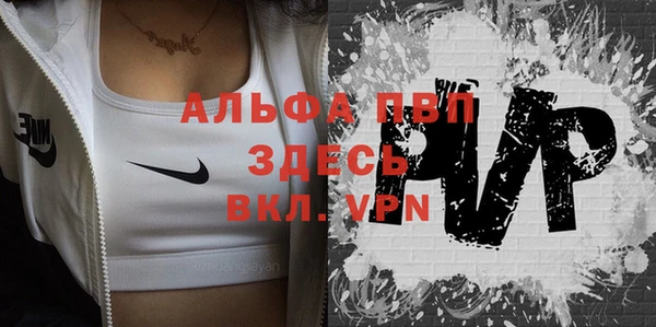 индика Новодвинск