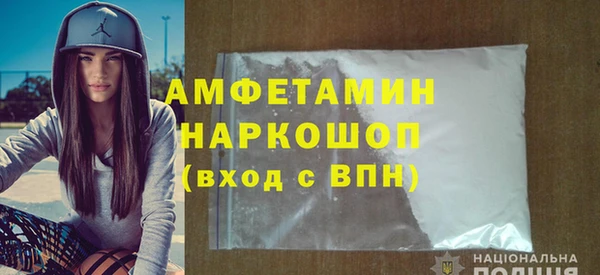 индика Новодвинск