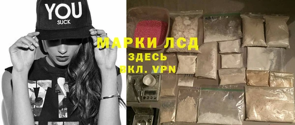 индика Новодвинск