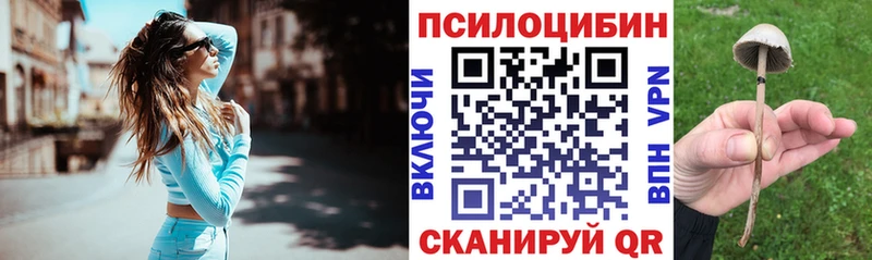 купить сайты Судогда Псилоцибиновые грибы GOLDEN TEACHER
